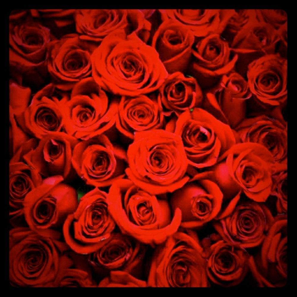 Meet your Posher, Gina